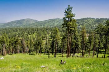 Jefferson Conservation District