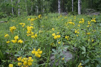 Meyer Ranch Park, Jefferson County, CO